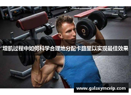增肌过程中如何科学合理地分配卡路里以实现最佳效果